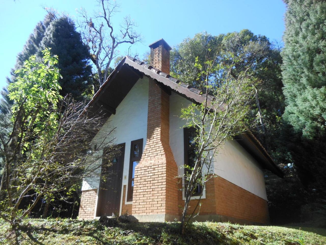 Hôtel Grunwald Chales à Monteverde Extérieur photo
